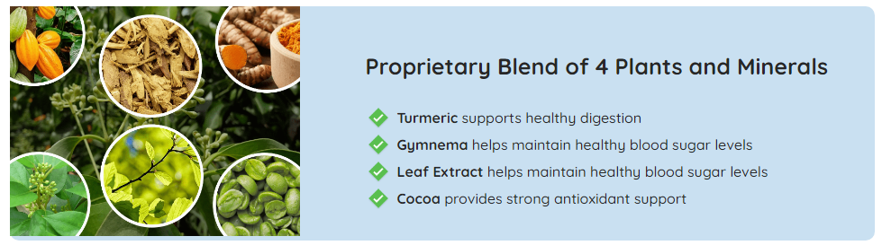 Gluco Extend Ingredients